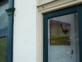 /album/backyards-and-seaside/cb-10-small-jpg/